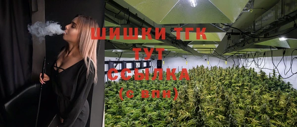 гидра Белоозёрский