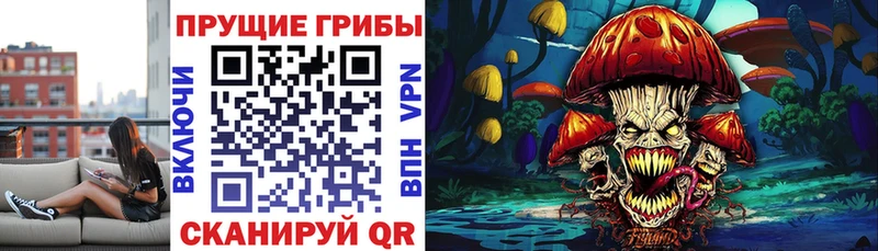 Галлюциногенные грибы прущие грибы  Волхов 